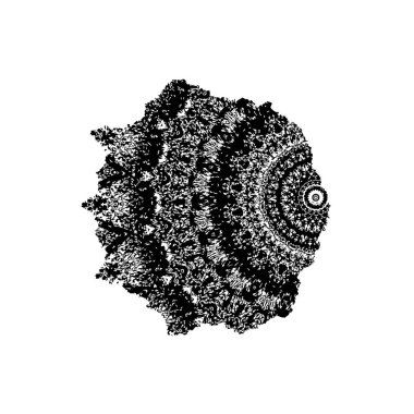 Beyaz arkaplanda soyut siyah renk fırça darbesi