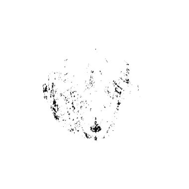 Beyaz arkaplanda soyut siyah renk fırça darbesi