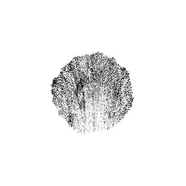 Beyaz arkaplanda soyut siyah renk fırça darbesi