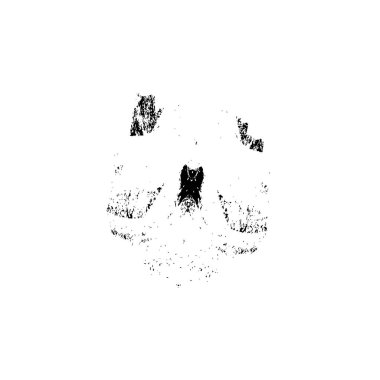 soyut siyah fırça darbesi beyaz arkaplanda izole edildi