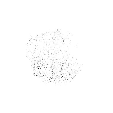 soyut siyah fırça darbesi beyaz arkaplanda izole edildi