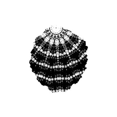 soyut siyah fırça darbesi beyaz arkaplanda izole edildi