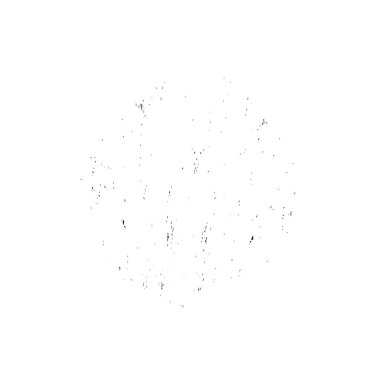 soyut siyah fırça darbesi beyaz arkaplanda izole edildi