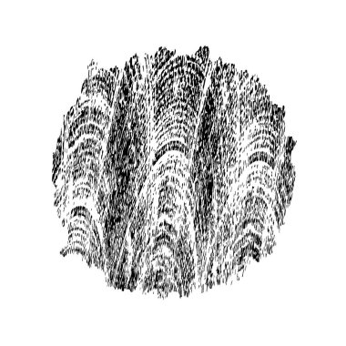 soyut siyah fırça darbesi beyaz arkaplanda izole edildi