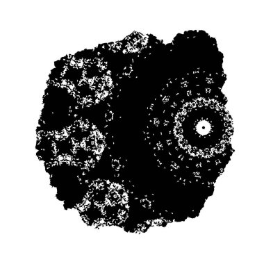soyut siyah fırça darbesi beyaz arkaplanda izole edildi