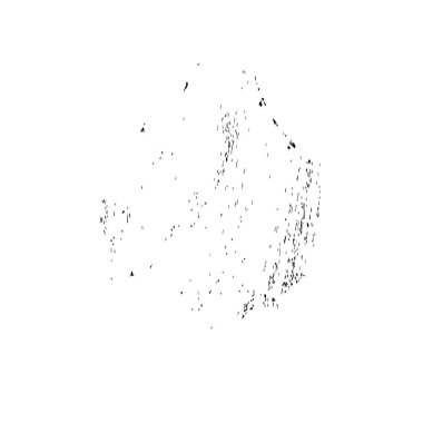 soyut siyah fırça darbesi beyaz arkaplanda izole edildi