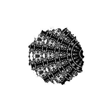 soyut siyah fırça darbesi beyaz arkaplanda izole edildi