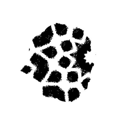 soyut siyah fırça darbesi beyaz arkaplanda izole edildi