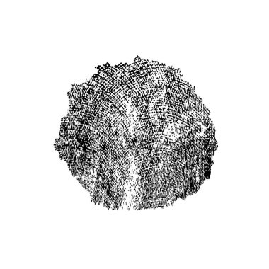 soyut siyah fırça darbesi beyaz arkaplanda izole edildi