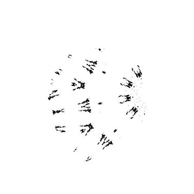 soyut siyah fırça darbesi beyaz arkaplanda izole edildi