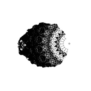 siyah ve beyaz vektör arkaplanı