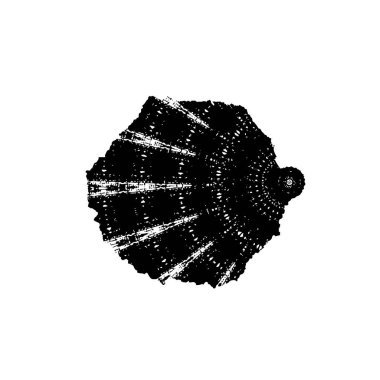 Soyut arkaplan. Monokrom dokusu. Siyah ve beyaz desenli arkaplan    