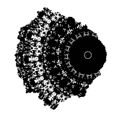 Soyut arkaplan. Monokrom dokusu. Siyah ve beyaz desenli arkaplan    