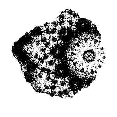 Soyut arkaplan. Monokrom dokusu. Siyah ve beyaz desenli arkaplan    