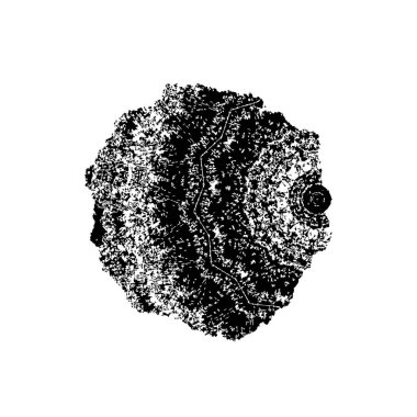 Soyut arkaplan. Monokrom dokusu. Siyah ve beyaz desenli arkaplan    