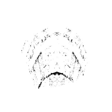 Beyaz arkaplanda soyut siyah el boyalı element