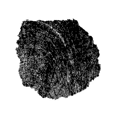 grunge siyah ve beyaz fırça darbesinin vektör çizimi