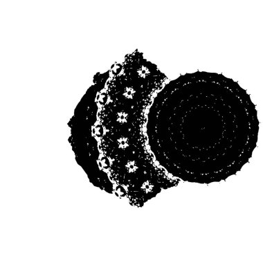 grunge siyah ve beyaz fırça darbesinin vektör çizimi