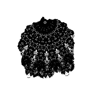 Soyut arkaplan. monokrom dokusu. siyah ve beyaz 