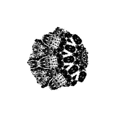 Soyut arkaplan. monokrom dokusu. siyah ve beyaz 