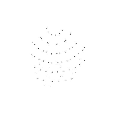 Soyut arkaplan. monokrom dokusu. siyah ve beyaz 