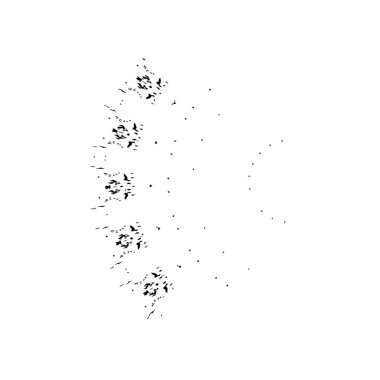 Soyut arkaplan. monokrom dokusu. siyah ve beyaz 