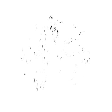 Beyaz arkaplanda soyut grunge siyah nokta izole