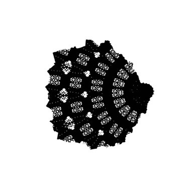 soyut siyah fırça darbesi ve dokusu