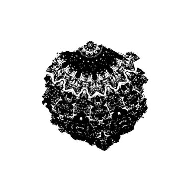 Çizik ve çiziklerle dolu siyah beyaz bir arka plan. Soyut vektör illüstrasyonu.