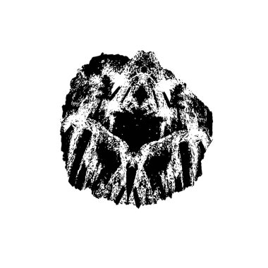 Grunge dokusu, sıkıntı siyah beyaz arka plan. soyut arkaplan