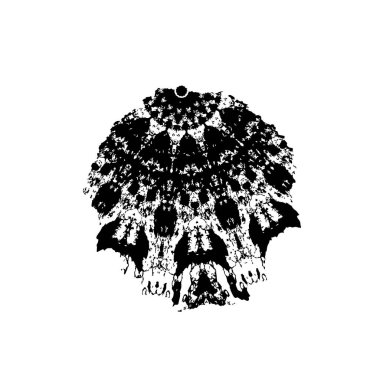 Grunge dokusu, sıkıntı siyah beyaz arka plan. soyut arkaplan