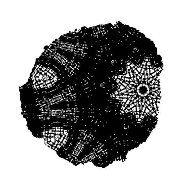 soyut grunge fırça darbesi siyah beyaz