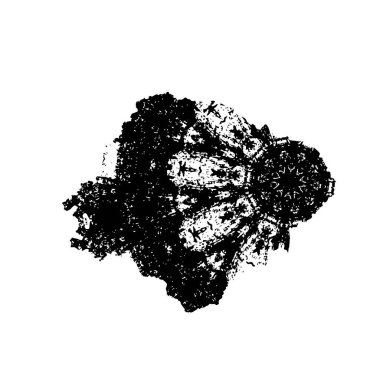 soyut grunge fırça darbesi siyah beyaz