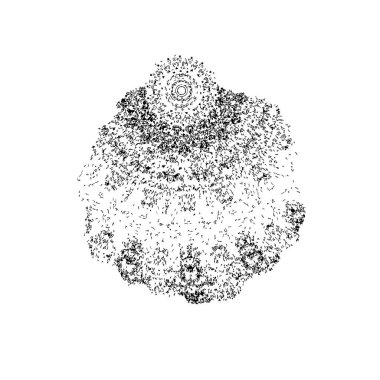 Siyah beyaz desenli, soyut arkaplan