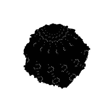 siyah ve beyaz grunge fırça darbesi 