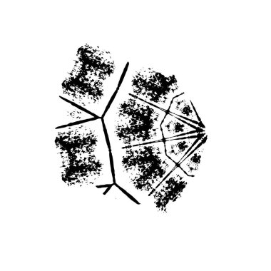 siyah ve beyaz grunge fırça darbesi 