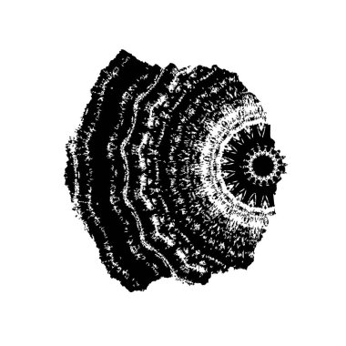 Siyah ve beyaz grunge arka plan, soyut yüzey. vektör illüstrasyonu 