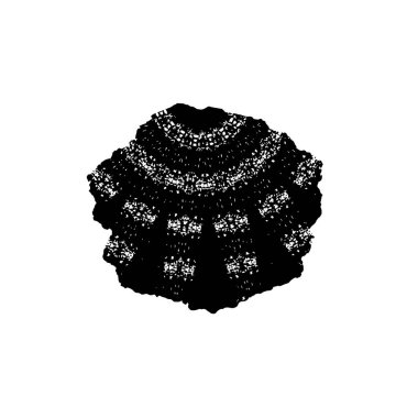 Karla çizilmiş el çizimi Noel ağacı. vektör.