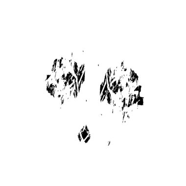 grunge fırça darbesi siyah beyaz 