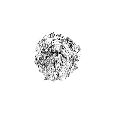 Beyaz arka planda siyah fırça darbesi 