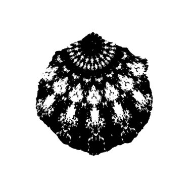 Beyaz arka planda siyah fırça darbesi 