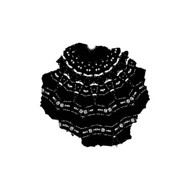 Siyah ve beyaz grunge arka plan, soyut yüzey. vektör illüstrasyonu 