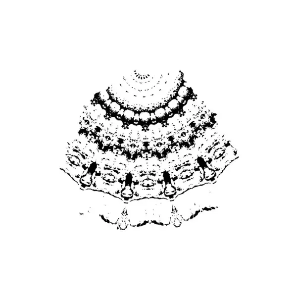 Coup Pinceau Grunge Noir Blanc — Image vectorielle