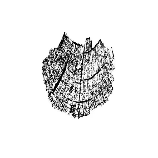 El çizimi ağaç yaprağı. Ağaç dalı. tasarım için vektör illüstrasyonu