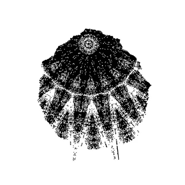 beyaz arkaplanda grunge siyah mürekkep darbesi