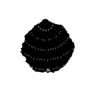 creative element, black brush stroke on white background 