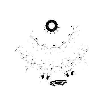 creative element, black brush stroke on white background 