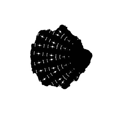 black and white brush stroke, creative element