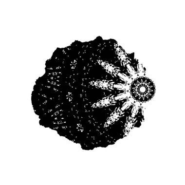 Grunge üst üste biniyor. Soyut siyah-beyaz vektör arkaplanı. Çatlak, leke ve noktalarda kirli desenli tek renkli klasik yüzey. Karanlık korku tarzında eski bir duvar.