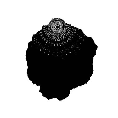 brush stroke, black and white creative element